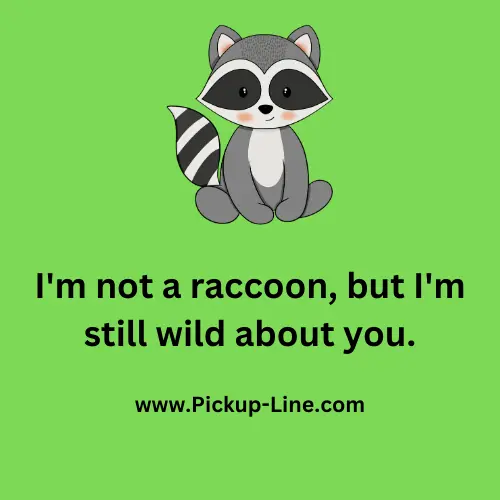 Raccoon Pick Up Lines